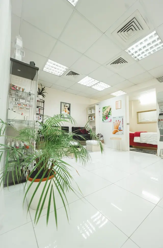 Bright salon interior with plants, product shelving, and treatment area at Vesna Beauty Lounge